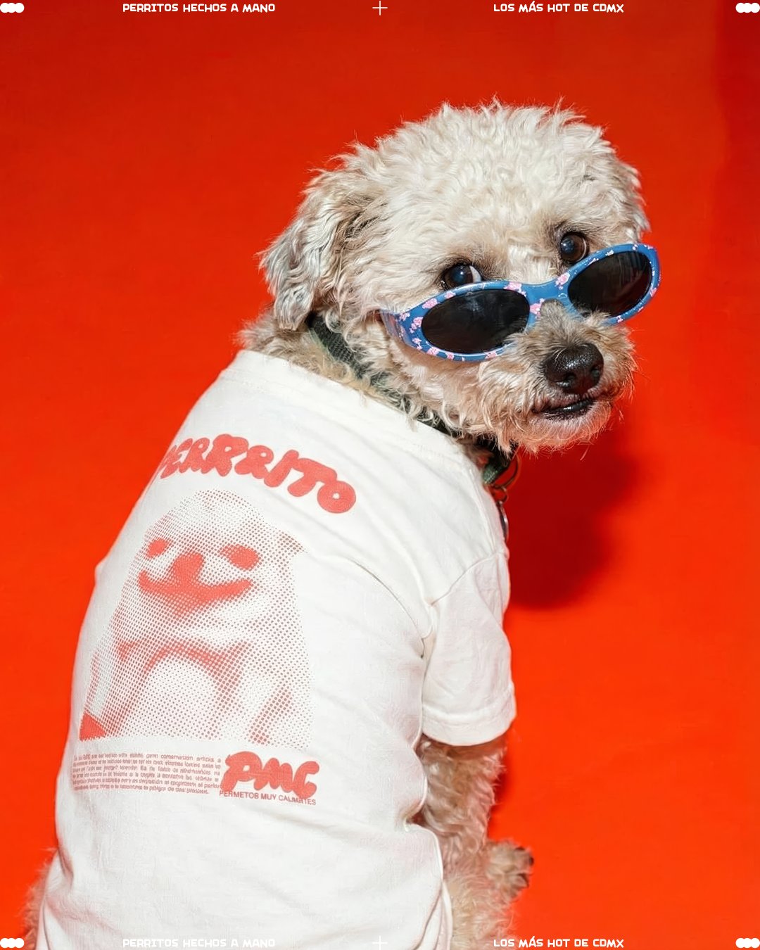 Playera Staff